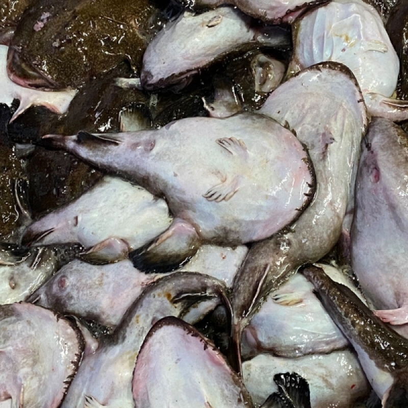 양양클라스,양양클라쓰 자연산 생물 손질 아귀(냉동) - 1kg 절단