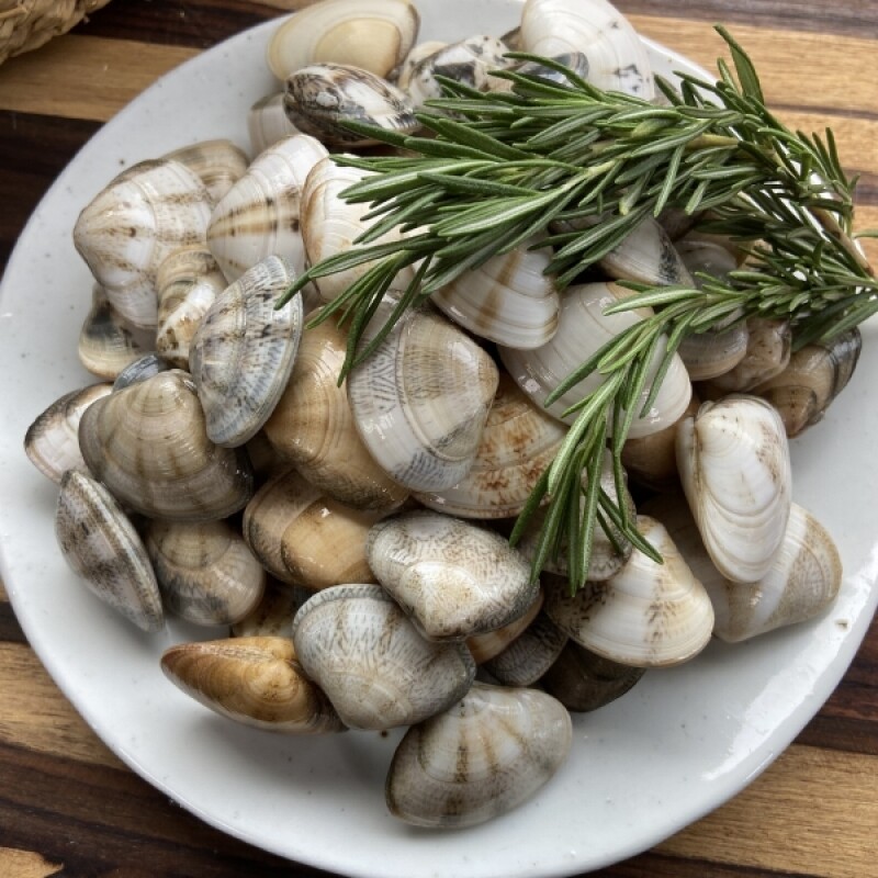 양양클라스,양양클라쓰 자연산 제철 조개 째복(비단조개) -1kg